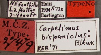 Media type: image;   Entomology 27479 Aspect: labels